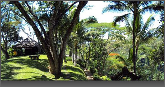 Image of a Garden and Yoga Pavilion